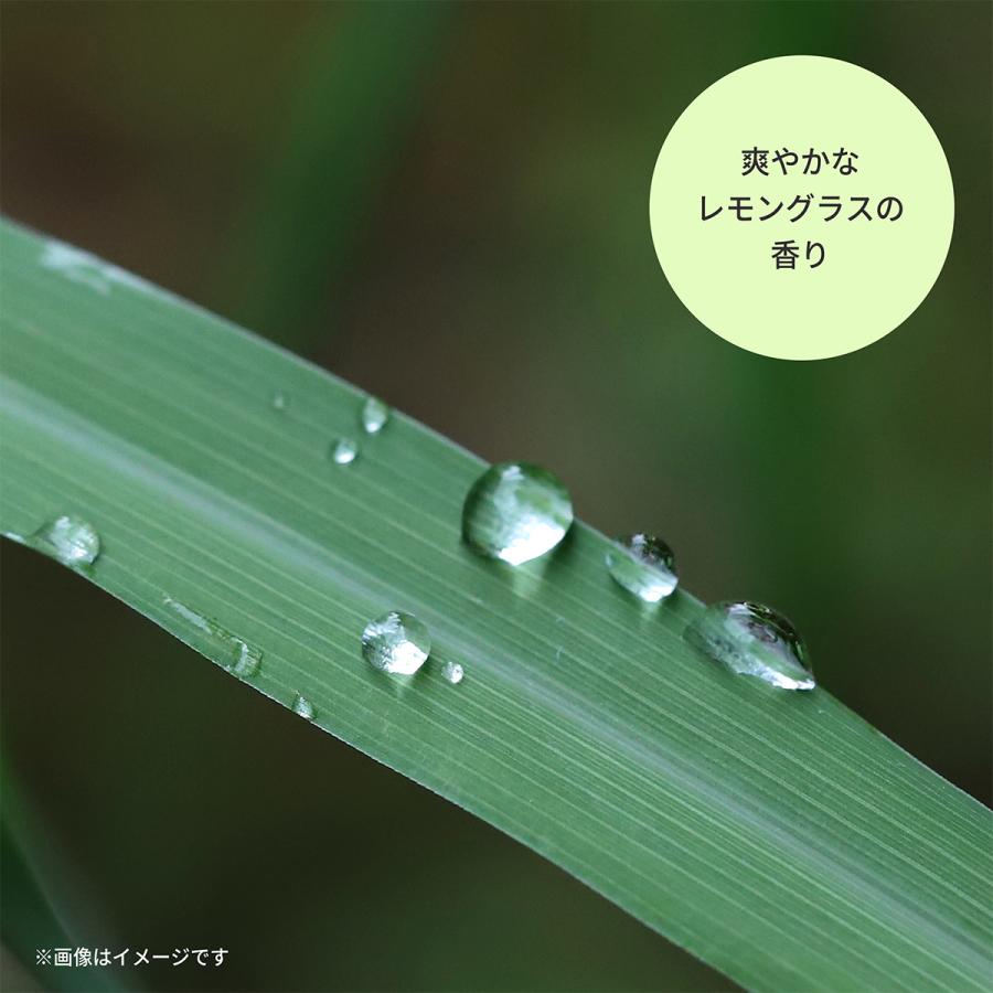 Ms. ミズ マッサージピール 130g 【アウトレット/生産終了】 : Celule