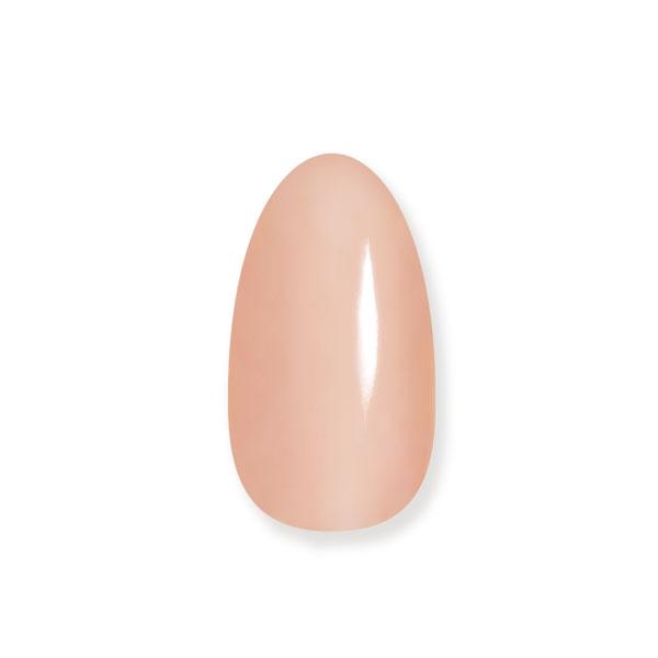 ビューティーワールド（Beauty World） STフィーカ 3in1ジェル