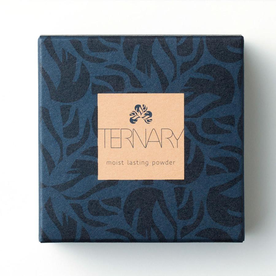 TERNARY ターナリー T モイストラスティングパウダー : 4582303211421 