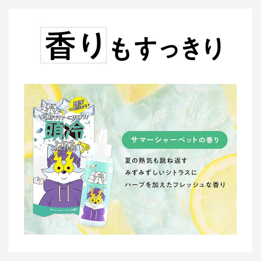 BRIDGE ICY ZAP アイシーザップ クーリングスカルプセラム サマー