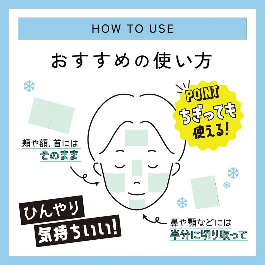 BRIDGE ICY ZAP アイシーザップ クーリングスクエアパック 100枚入り