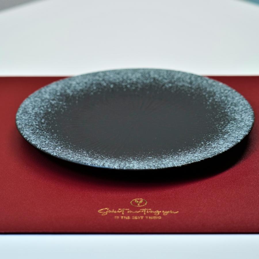 平皿 中皿 丸皿 取り皿 プレート 20cm 陶器 おしゃれ パスタ サラダ