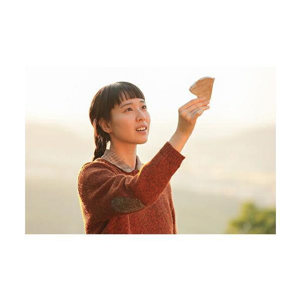 連続テレビ小説 スカーレット 完全版 DVD-BOX1+2+3の全巻セット 連続テレビ小説 スカーレット 完全版 DVD-BOX1+2+3の全巻セット