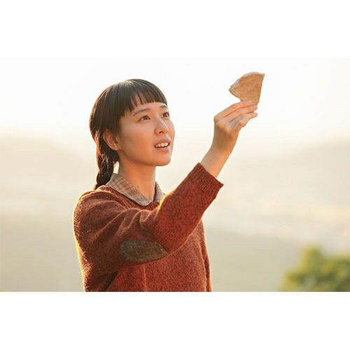 連続テレビ小説 スカーレット 完全版 DVD-BOX1+2+3の全巻セット