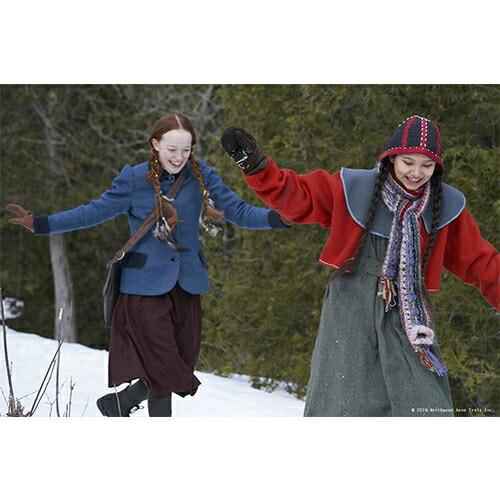 アンという名の少女 シーズン1+2+3の全3巻セット DVD-BOX （新価格版
