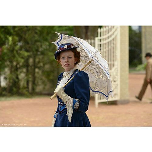 【全14巻】アンという名の少女 1期 2期 3期 DVD 全巻セット アンという名の少女 シーズン1・2・3 DVD14巻セット Amazon.co