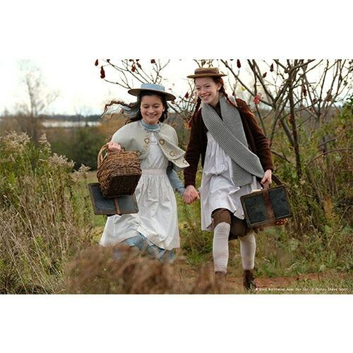 アンという名の少女 シーズン1+2+3の全3巻セット DVD-BOX （新価格版