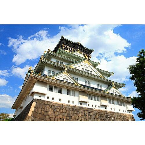 絶対行きたくなる！ニッポン不滅の名城 DVD-BOX 新品 : セナヤフー店