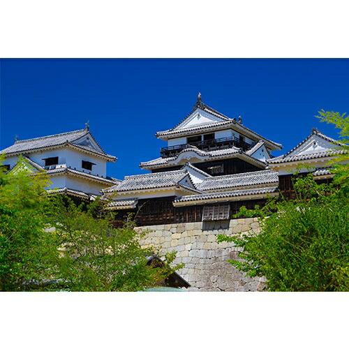 絶対行きたくなる！ニッポン不滅の名城 DVD-BOX 新品 : セナヤフー店