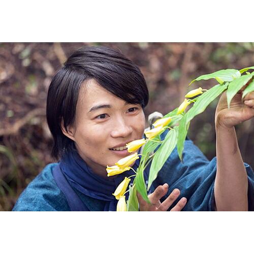 連続テレビ小説 らんまん 完全版 DVD-BOX1+2+3の全巻セット 新品