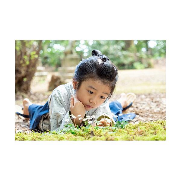 連続テレビ小説 らんまん 完全版 DVD-BOX1+2+3の全巻セット 新品 連続テレビ小説 らんまん 完全版 DVD-BOX1+2+3の全巻セット 新品
