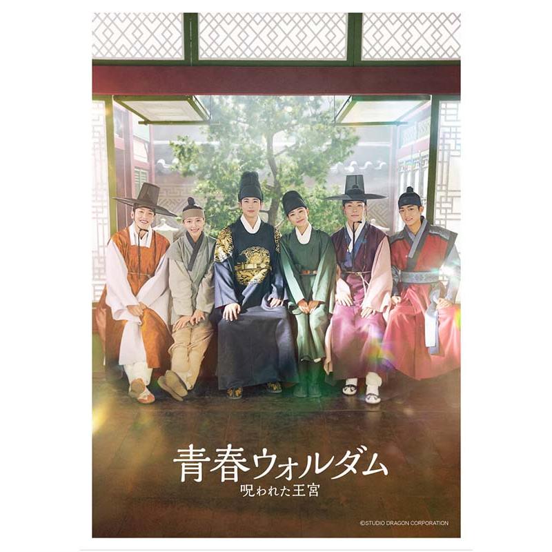 青春ウォルダム 呪われた王宮 DVD-BOX1+2のセット 新品 : セナヤフー店