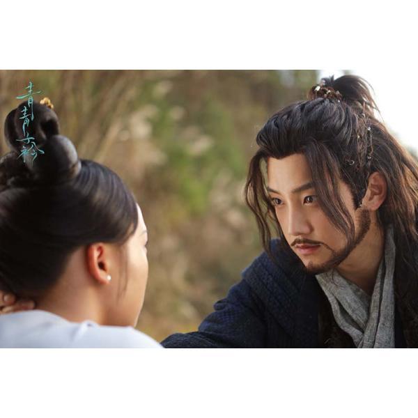 若葉の詩(うた)〜青青子衿〜 DVD-BOX2（10枚組） 新品 : セナヤフー店