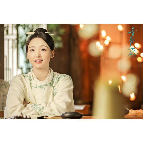 若葉の詩(うた)〜青青子衿〜 DVD-BOX2（10枚組） 新品 : セナヤフー店