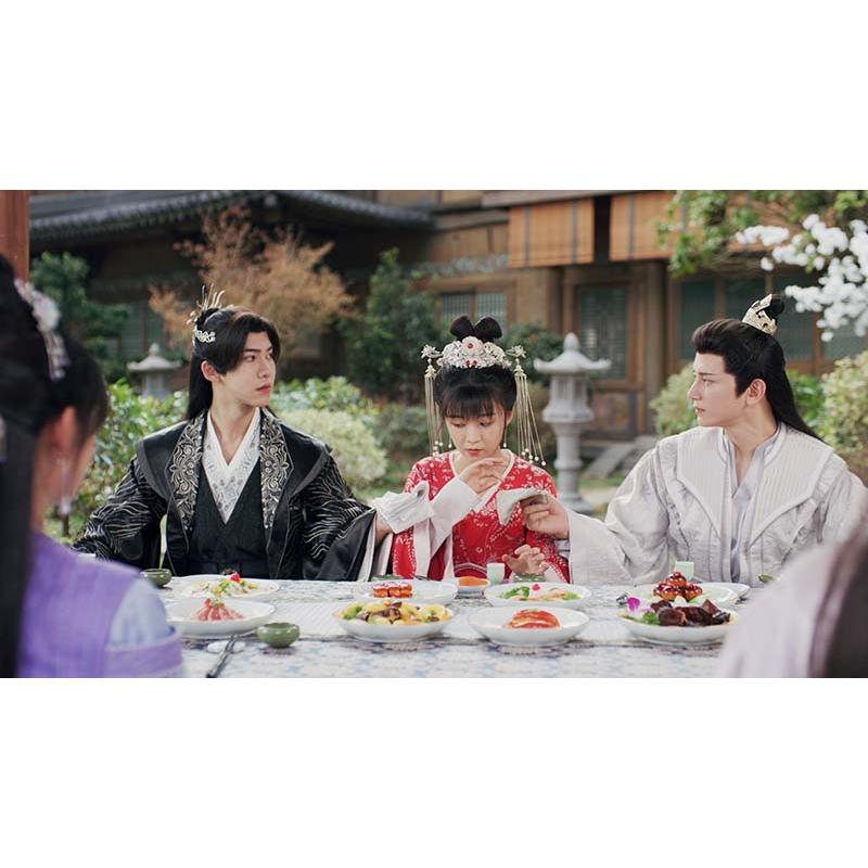 花青歌〜悪役皇子の花嫁〜 DVD-BOX1+2のセット 新品 : セナヤフー店