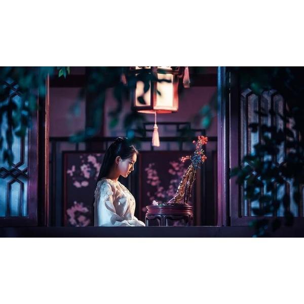 晩媚と影～紅きロマンス～ DVD-BOX1・2〈各9枚組〉 Amazon.co.jp: 晩媚と影～紅きロマンス～ DVD-BOX1 : リー