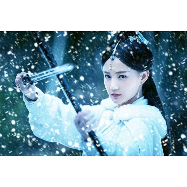 剣王朝〜乱世に舞う雪〜 DVD-BOX2（8枚組）＜シンプルBOX 5,000円