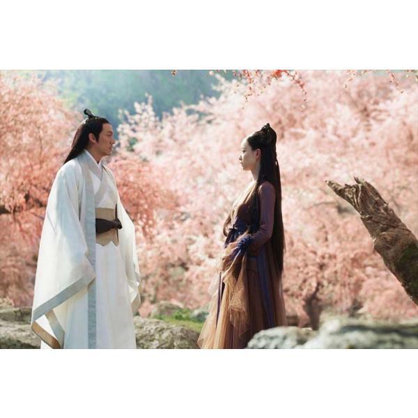 運命の桃花～宸汐縁～ DVD-BOX2〈10枚組〉DISC11～20 運命の桃花〜宸汐縁〜DVD-BOX2（10枚組）＜シンプルBOX 5,000円