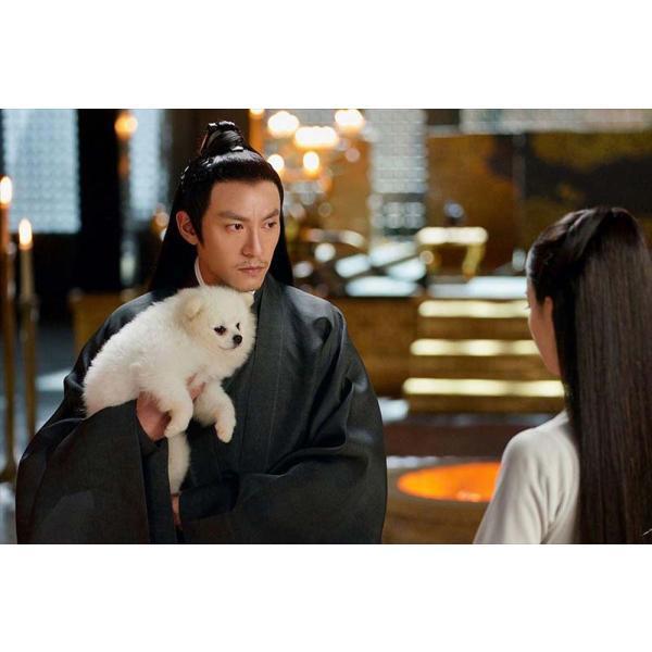 運命の桃花〜宸汐縁〜DVD-BOX2（10枚組）＜シンプルBOX 5,000円