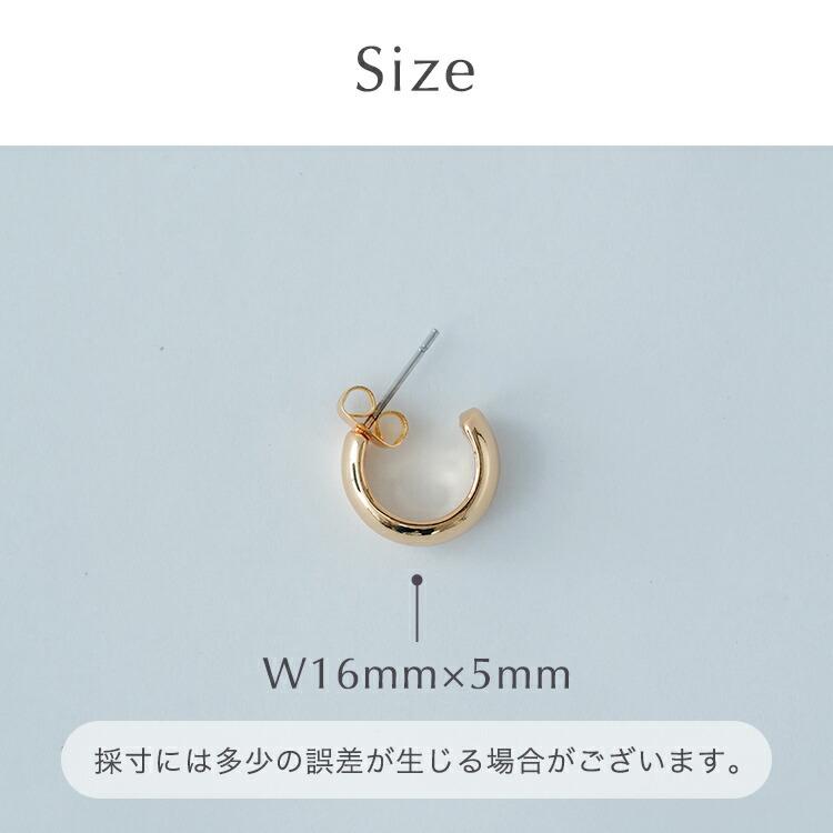 フープピアス ピアス 金属アレルギー フープ シルバー ゴールド