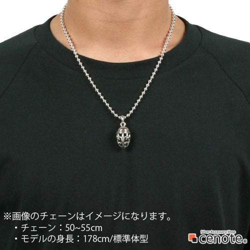 シルバーペンダント メンズ ユリの紋章 バレット ロケット パワーストーンケース 小物入れ シルバー 925 シルバーアクセサリー p0130の画像