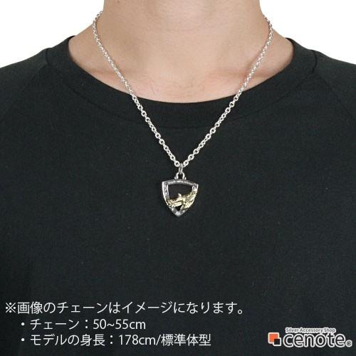 シルバーペンダント メンズ ピックケース イーグル インディアンジュエリー ギターピック シルバー925 シルバーアクセサリー p0485の画像