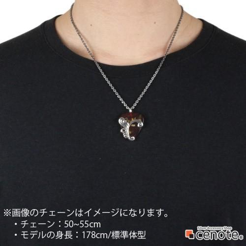 シルバーペンダント メンズ バタフライ ピックケース 音楽 ミュージック 蝶 ギターピック シルバー925 シルバーアクセサリー p0650の画像