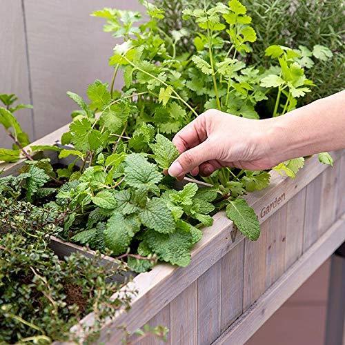 タカショー(Takasho) プランター レイズドベッド ハーブプランター スリム グレイウォッシュ WK-08FG ミュールミル セドナポットグレイS VG-010Gy OCQ1208289170(11301円)