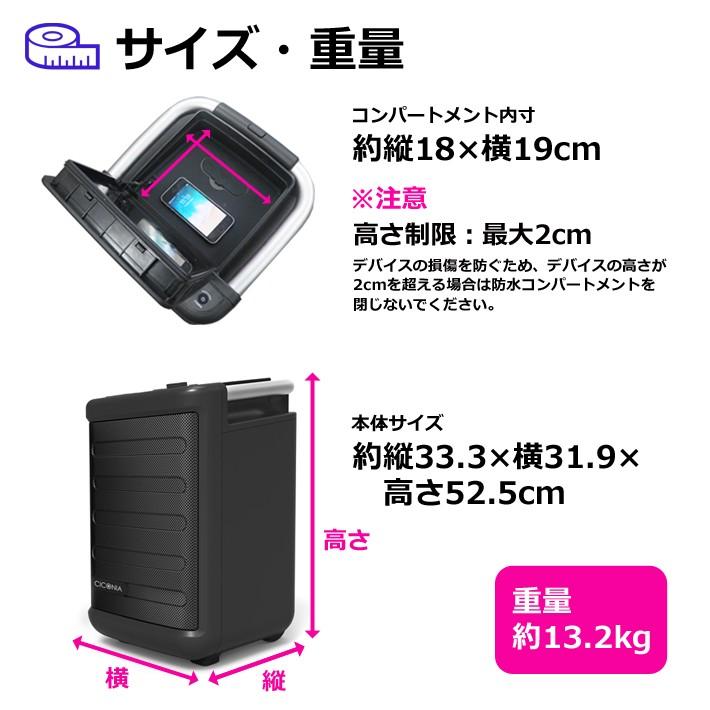 防水スピーカー CICONIA チコニア BTC-3090 USBメモリー 再生