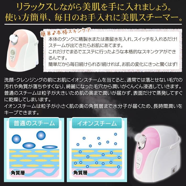 美顔器 イオン導入 スチーム ミスト イオンスキンケア イオン