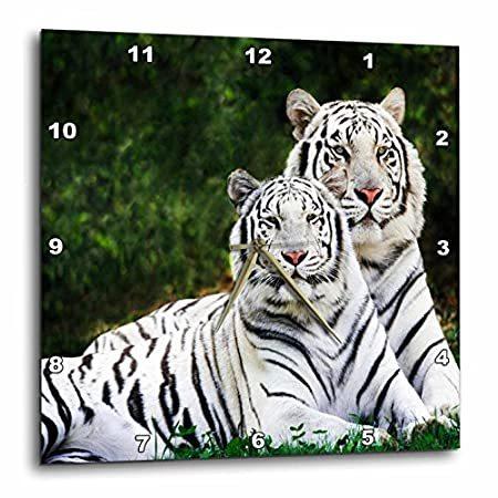 高い品質 White 3dRose （新品） Tigers (DPP_54187_3) 15-Inch by 15 Clock, Wall - 掛け時計、壁掛け時計