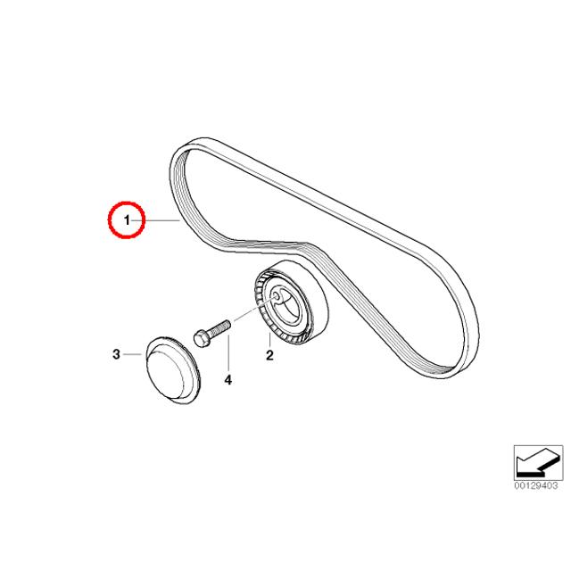 ファンベルト(1本)　BMW 3シリーズ E36　1.9 2.8 318i 318is 318ti　BE18 BE19 CA18 CG18 CG19 CH19 CH28 CJ28 CK28　M42 M43 M44 M52(直6)｜centpiashop｜02