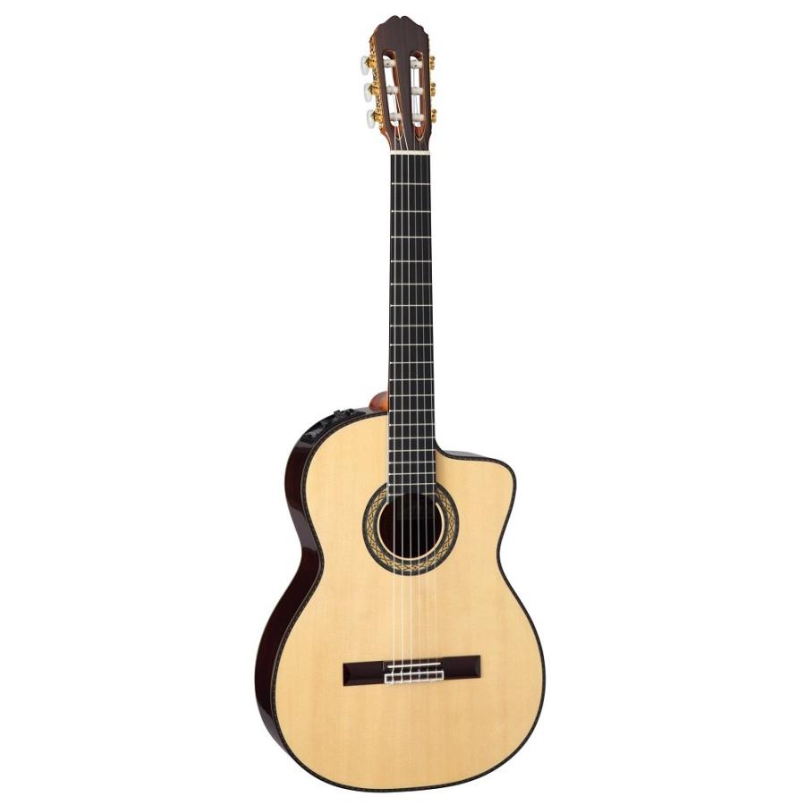 (貨物輸送無料)   Takamine (隼ミネ)  DMP370NC N アコースティックギター(エレガット) (DMP-370NC N) ギター-楽器、手芸、コレクション