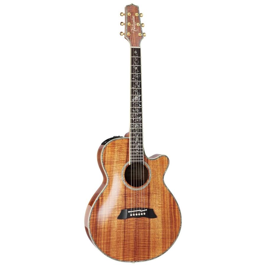 (送料無料)   Takamine (タカミネ)   DMP100K N アコースティックギター(エレアコ) (DMP-100K)