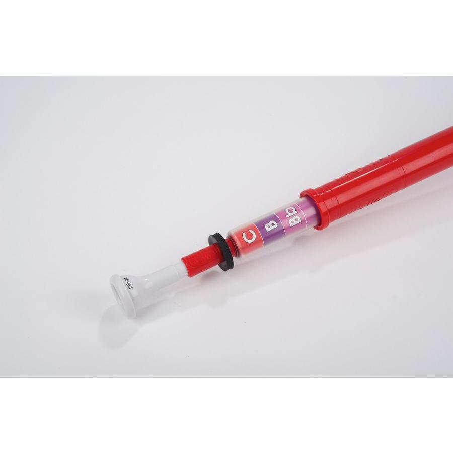 pInstruments pBuzz (ピー・バズ) プラスチック製Cスライド式入門楽器 :10009846:CENTRALMUSIC ...