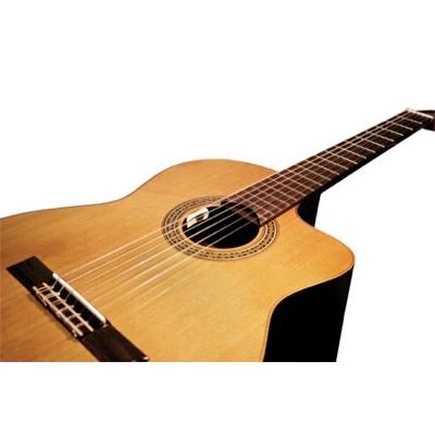 送料無料) L.R.Baggs Anthem SL for Nylon クラシックギター用 