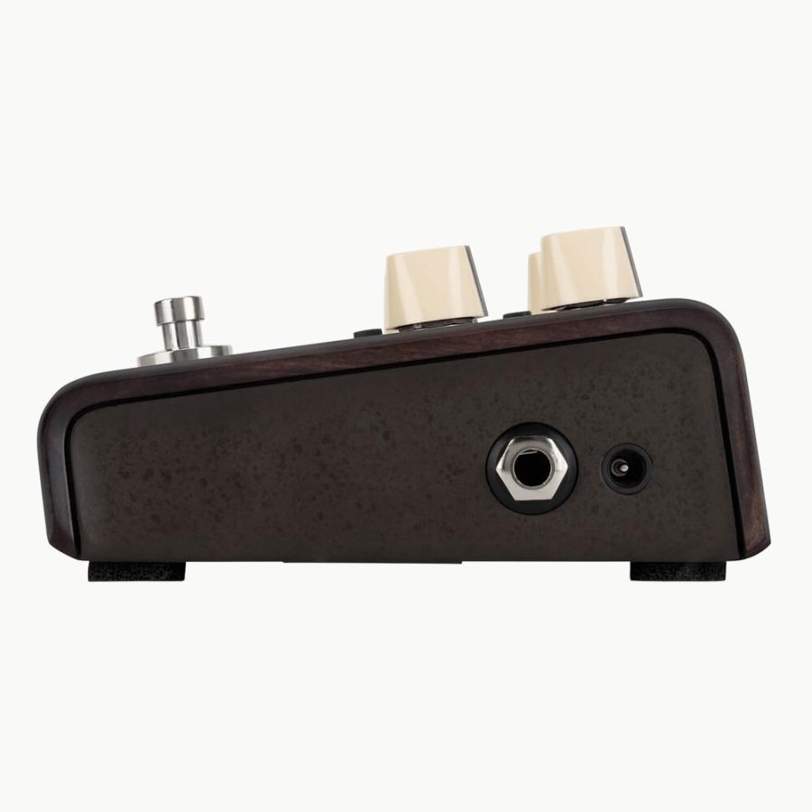 送料無料) L.R.Baggs Align Series Delay アコースティック用ディレイ