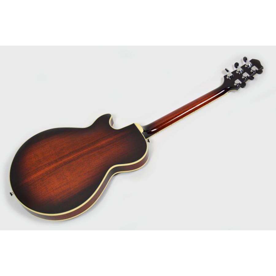 Sadowsky Guitars Archtop Semi Hollow Model Koa Brown Burst エレキ