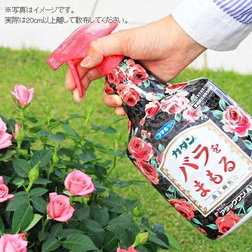 殺虫剤 殺菌剤 薬剤 ハダニ アブラムシ うどんこ病 園芸用 ミニバラ 花 観葉植物 ガーデニング 農薬 アタックワンAL 1000ｍｌ |  | 01