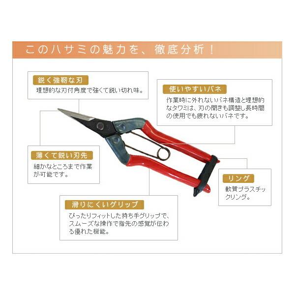 剪定ばさみ ミニバラ 花 庭 ガーデニング 摘果鋏 園芸 はさみ CHIKAMASA チカマサ T-500 | CHIKAMASA | 02