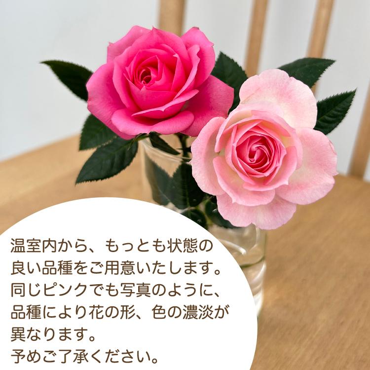 ミニバラ 鉢植え ギフト 赤 黄 ピンク 寄せ植え 誕生日 お祝い 母 花