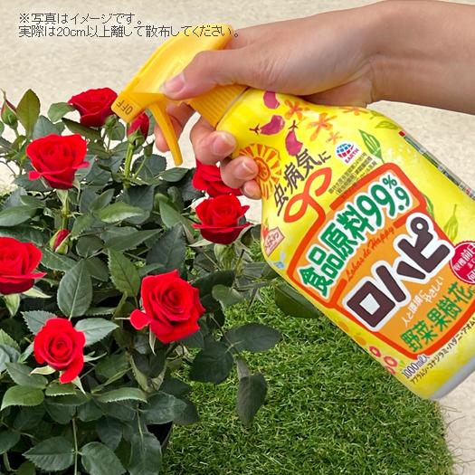 殺虫剤 殺菌剤 薬剤 ハダニ アブラムシ うどんこ病 園芸用 ミニバラ 花 観葉植物 野菜 ガーデニング 農薬 ロハピ 1000ｍｌ |  | 01