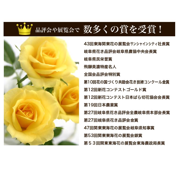 ミニバラ 鉢植え ギフト 赤 黄 ピンク 誕生日 お祝い 母 花 四季咲き 幸福の鉢 オリーブ柄6号 |  | 14