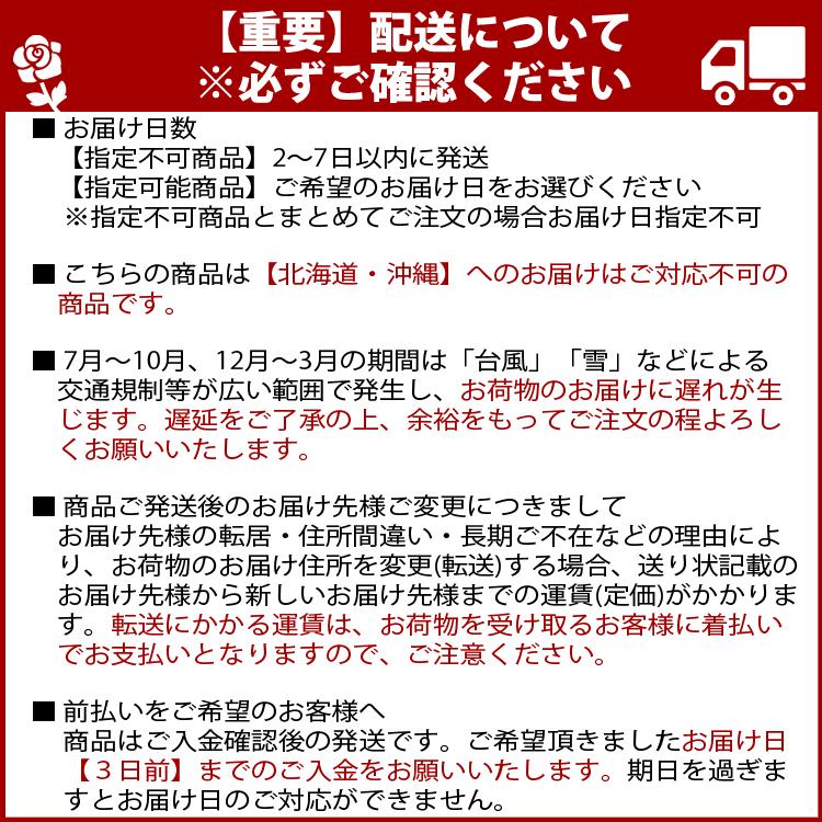 ミニバラ 鉢植え ギフト 赤 黄 ピンク 誕生日 お祝い 母 花 四季咲き 幸福の鉢 オリーブ柄6号 |  | 18