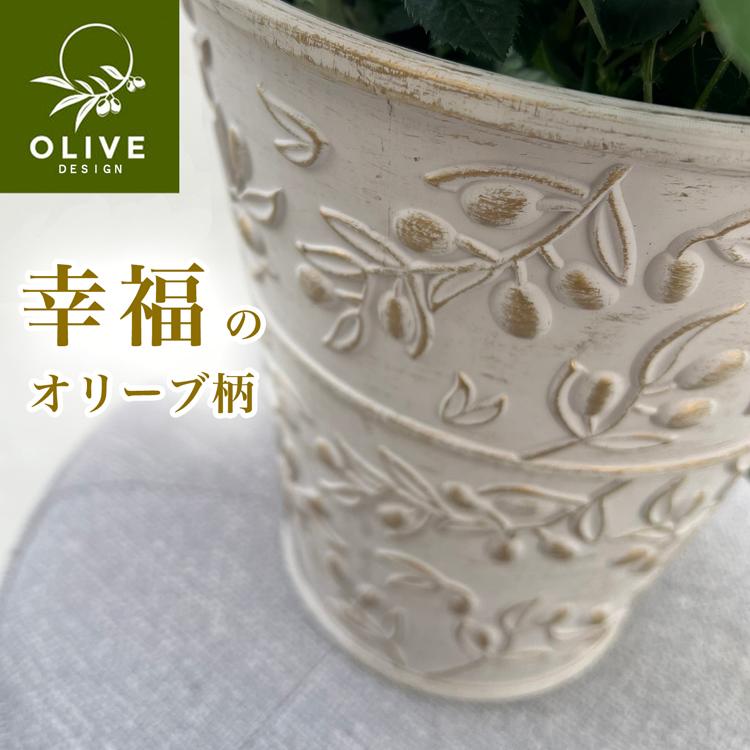 ミニバラ 鉢植え ギフト 赤 黄 ピンク 誕生日 お祝い 母 花 四季咲き 幸福の鉢 オリーブ柄6号 |  | 05
