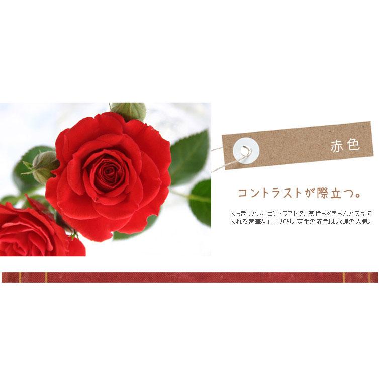 ミニバラ 鉢植え ギフト 赤 黄 ピンク 寄せ植え 誕生日 お祝い 母 花