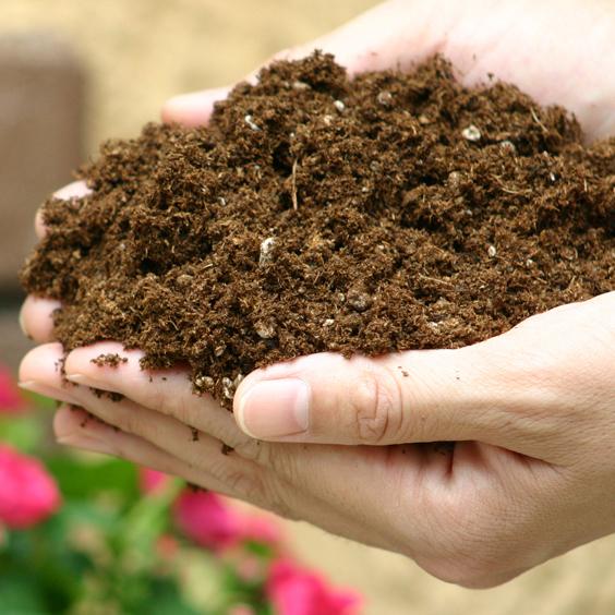 培養土 8L ミニバラ 野菜 花 40L 大量購入 軽い 土 ガーデニング 保水性 排水性 5袋 独自配合 |  | 02