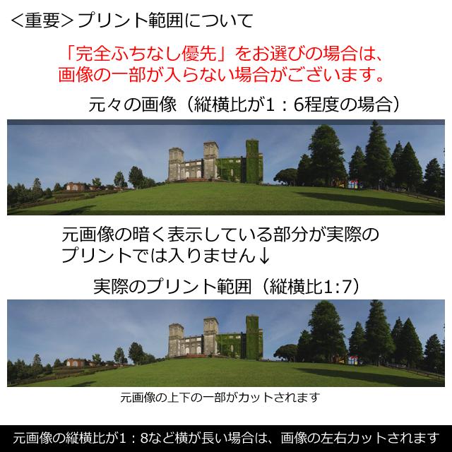 デジタルプリント ぐるっとパノラマプリントl 8 127mm Iphoneのパノラマ対応 宅配便お届け Dprint Panorama L 写真のセントラル 通販 Yahoo ショッピング