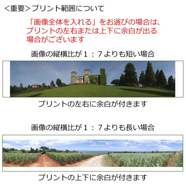 デジタルプリント ぐるっとパノラマプリントl 8 127mm Iphoneのパノラマ対応 宅配便お届け Dprint Panorama L 写真のセントラル 通販 Yahoo ショッピング