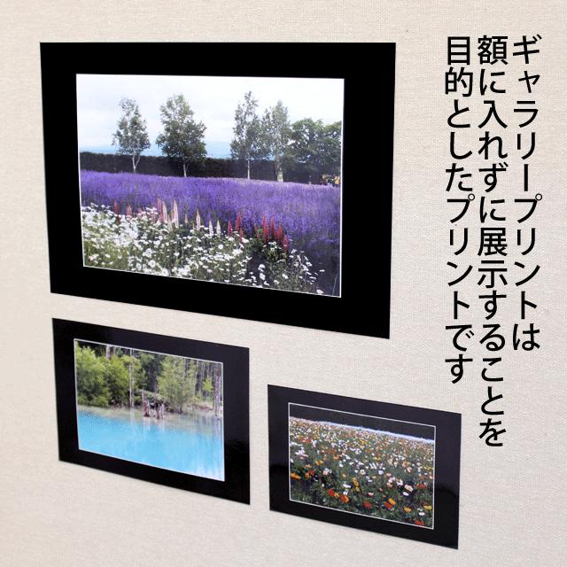 額入り写真プリント ギャラリープリント 6PWサイズ 高級額縁に入れたような写真
